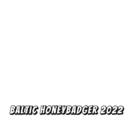 Baltic Honeybadger Conference